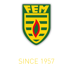 Logo-negativo-FEM-vertical_250px